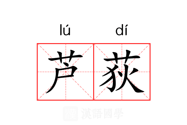 芦荻